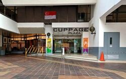 Cuppage Plaza (D9), Shop House #522530251